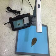 現代農業的發展離不開便攜式葉面積儀