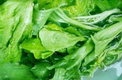 葉綠素測定儀推動數字化生態農業發展